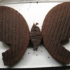 Dairy-Free Egg-Free Butterfly Cake