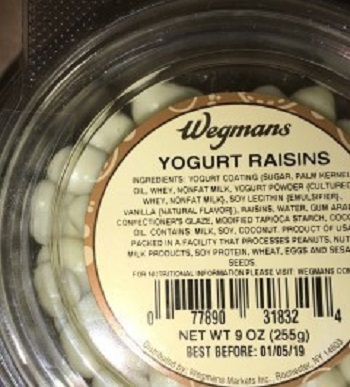 yogurt-raisins