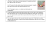 EpiPenUS-DHCPL-Final-110118_Page_6