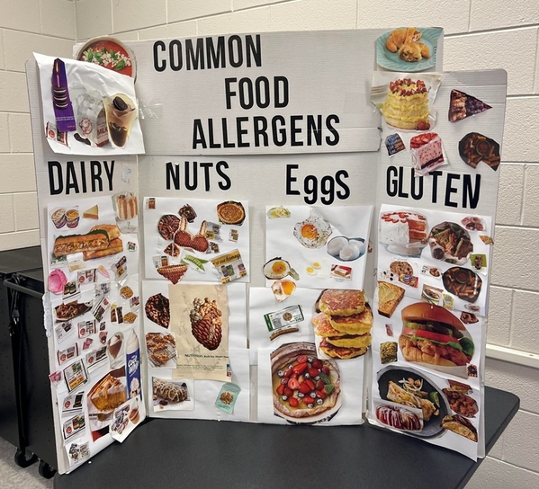 common-food-allergens-education