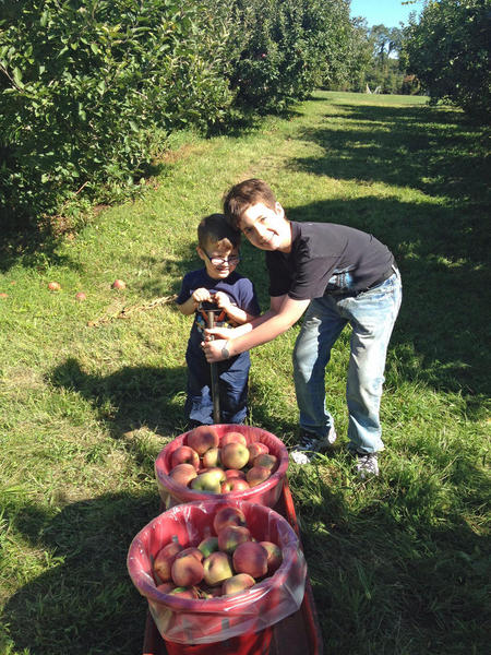 Brothers Luke & Jude Show Off Their Crop of Apples