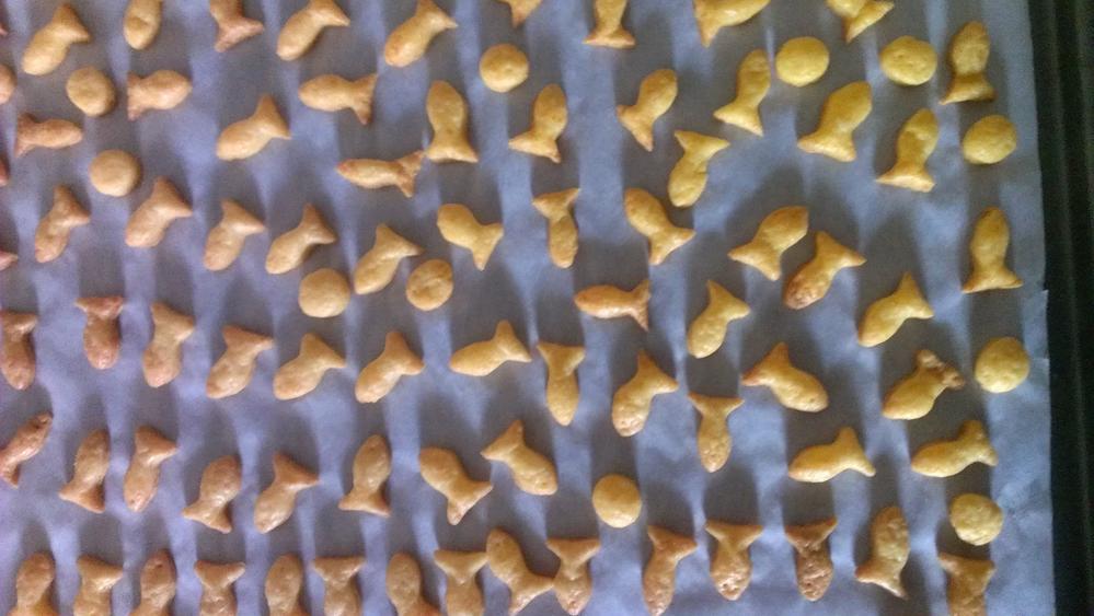 Homemade Gold fish crackers