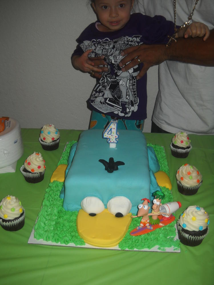 Perry Birthday Cake, allergy-friendly